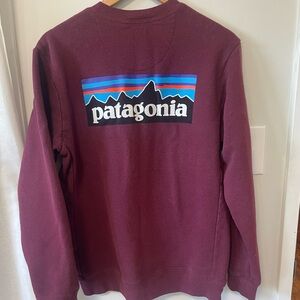 Patagonia crew neck